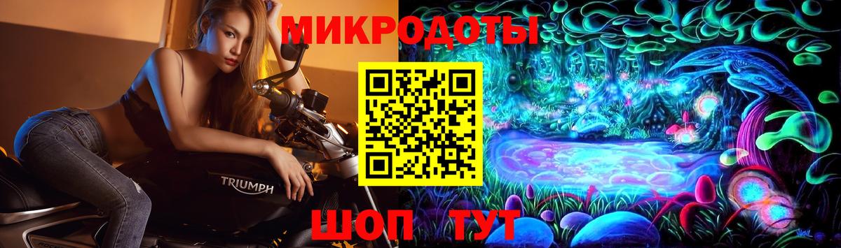 Галлюциногенные грибы мицелий Каменка